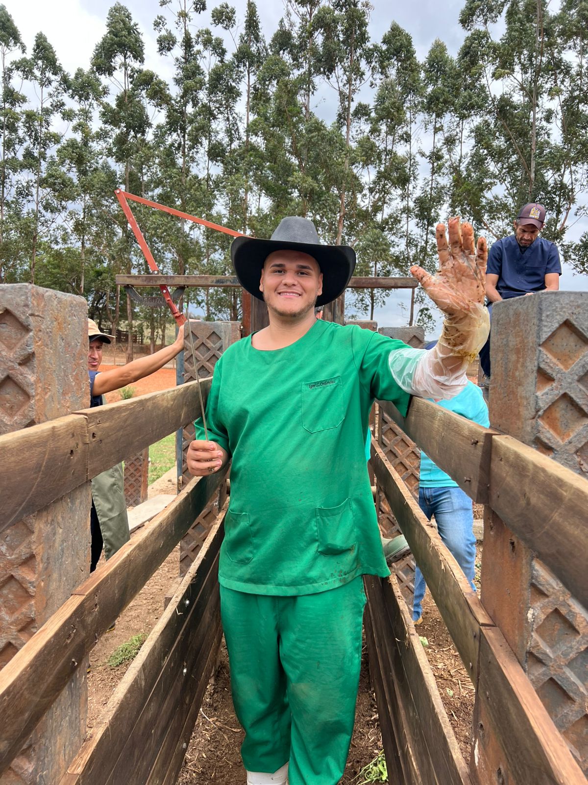 Aluno em prática de inseminação artificial em bovinos no curral