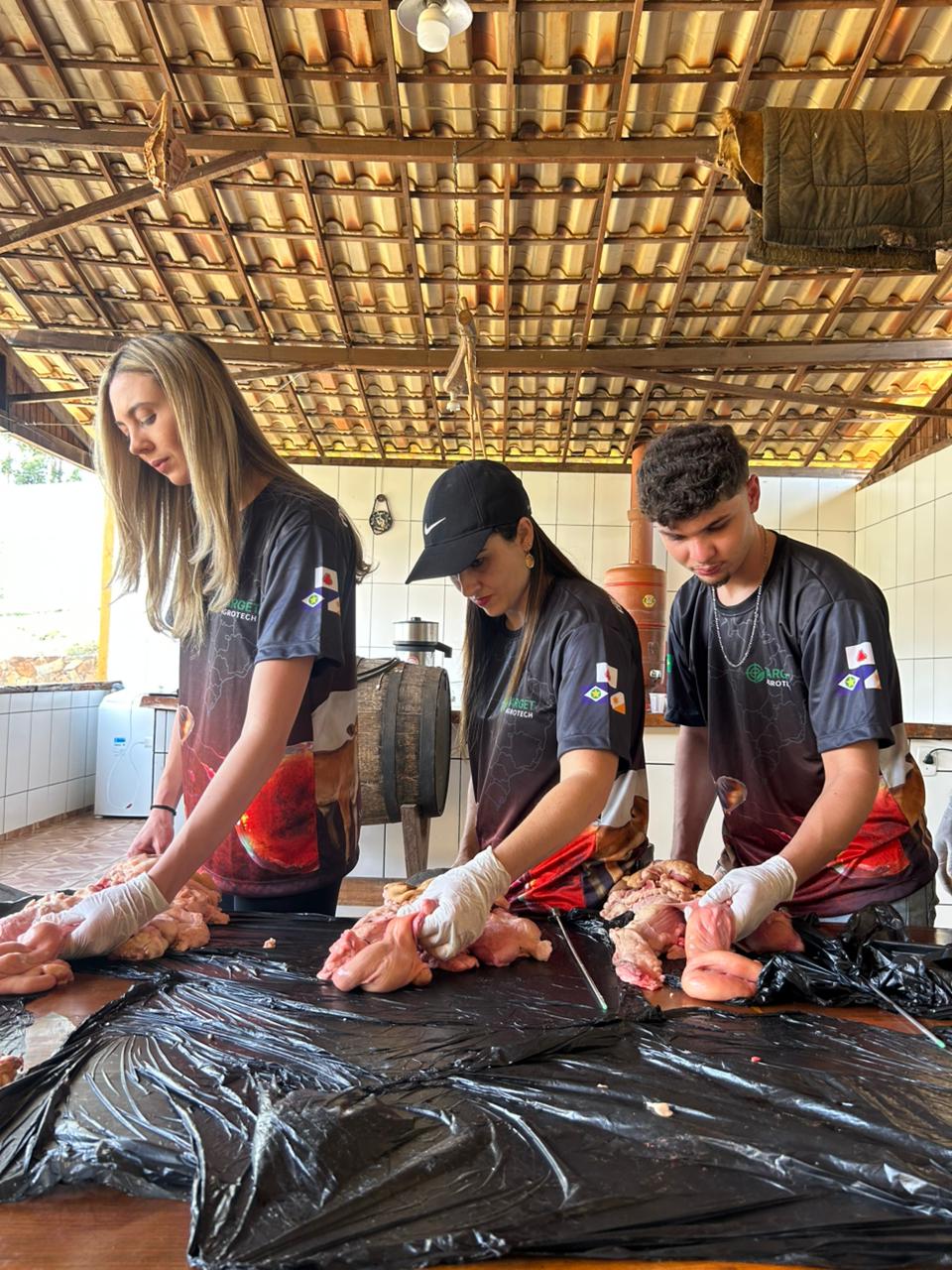 Alunos realizando toque retal em peças no curral, com vista aberta para a serra ao fundo.